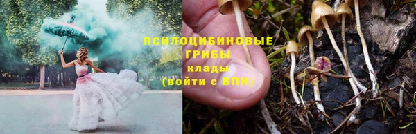 кокс Абаза
