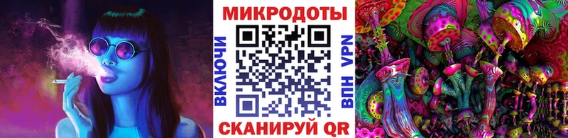ОМГ ОМГ вход  как найти   Туапсе  Галлюциногенные грибы Psilocybe 